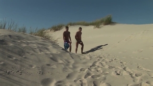Tanned dudes plowing On The Beach