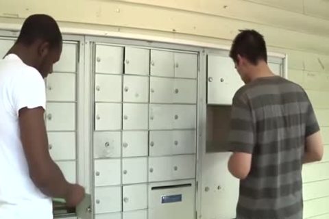 Dani Decor Hooks Up With A darksome lad
