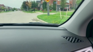 Pranksters - Dante Colle with Kit Cohen ass Love